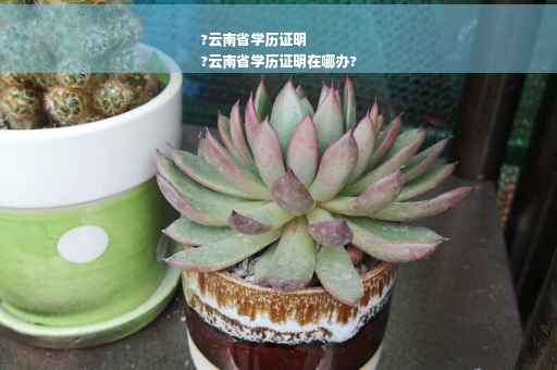 ?云南省学历证明
?云南省学历证明在哪办?