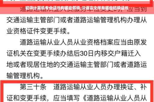 初级计算机专业证书有哪些等级,汉语言文学有哪些初级证书