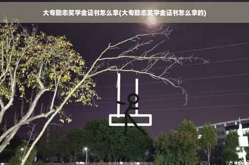 大专励志奖学金证书怎么拿(大专励志奖学金证书怎么拿的)