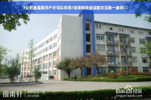 ?公积金需要开户才可以交吗?没拿到毕业证能交五险一金吗⚡️