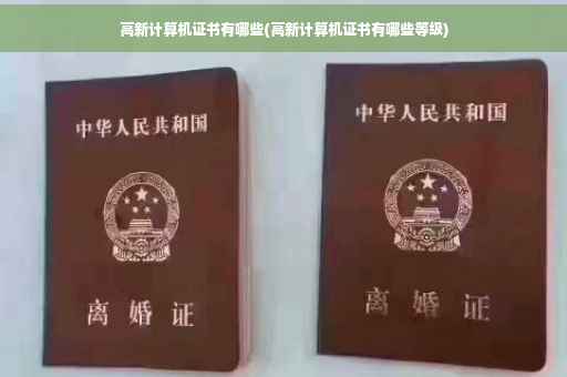 高新计算机证书有哪些(高新计算机证书有哪些等级)