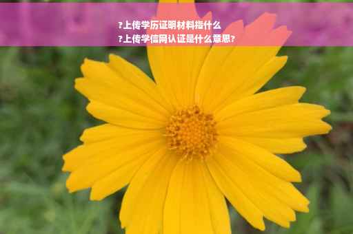 ?上传学历证明材料指什么
?上传学信网认证是什么意思?
