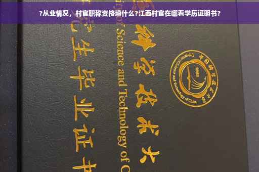?从业情况，村官职称资格填什么?江西村官在哪看学历证明书?