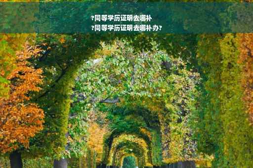 ?同等学历证明去哪补
?同等学历证明去哪补办? ?同等学历证明去哪补
?同等学历证明去哪补办?