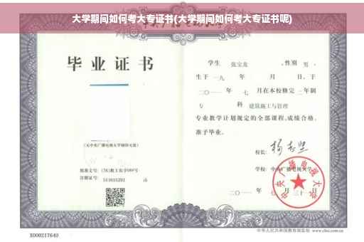 大学期间如何考大专证书(大学期间如何考大专证书呢) 大学期间如何考大专证书(大学期间如何考大专证书呢)