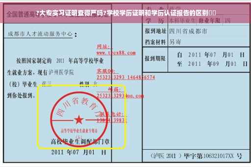 ?大专实习证明查得严吗?学校学历证明和学历认证报告的区别⚡️