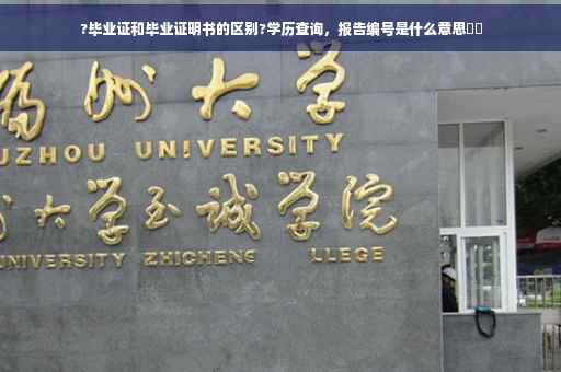 ?毕业证和毕业证明书的区别?学历查询，报告编号是什么意思⚡️