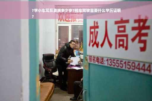 ?学小车驾照要满多少岁?校车驾驶需要什么学历证明
?