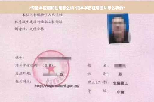 ?专插本应届和往届怎么填?插本学历证明图片怎么弄的?