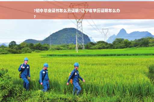 ?初中毕业证书怎么开证明?辽宁省学历证明怎么办
?