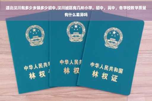 湖北汉川有多少乡镇多少初中,汉川城区有几所小学，初中，高中，各学校教学质量有什么差异吗