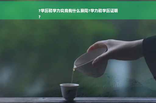 ?学历和学力究竟有什么异同?学力和学历证明
?