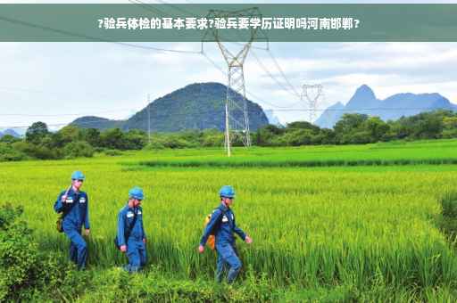 ?验兵体检的基本要求?验兵要学历证明吗河南邯郸?