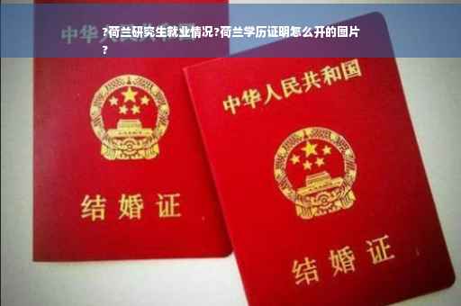 ?荷兰研究生就业情况?荷兰学历证明怎么开的图片
?