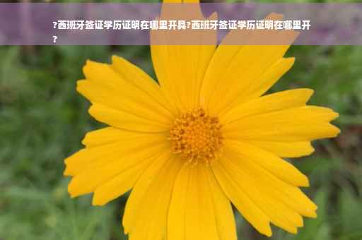 ?西班牙签证学历证明在哪里开具?西班牙签证学历证明在哪里开
?