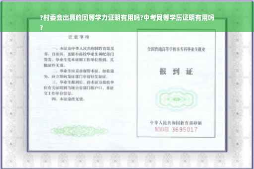 ?村委会出具的同等学力证明有用吗?中考同等学历证明有用吗
?