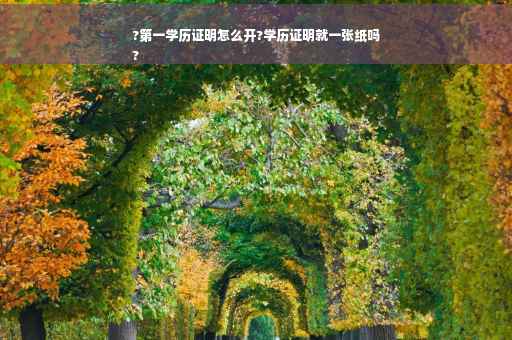 ?第一学历证明怎么开?学历证明就一张纸吗
?