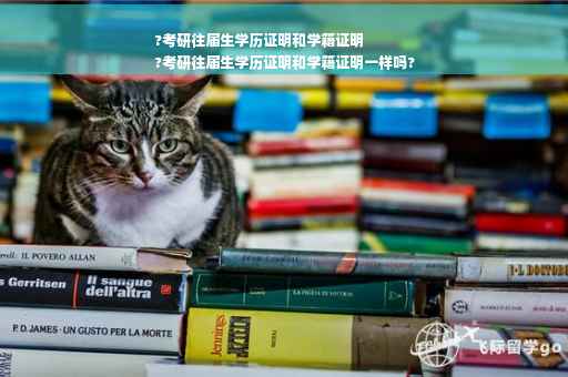 ?考研往届生学历证明和学籍证明
?考研往届生学历证明和学籍证明一样吗?