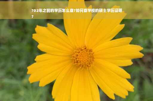 ?02年之前的学历怎么查?如何查学校的硕士学历证明
?