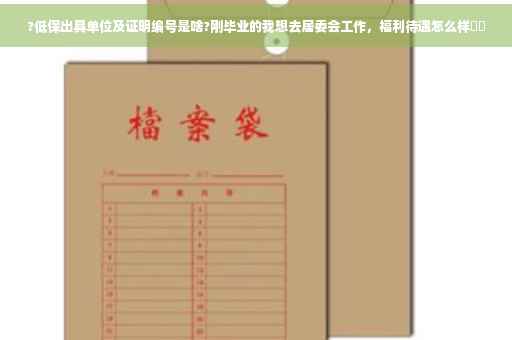 ?低保出具单位及证明编号是啥?刚毕业的我想去居委会工作，福利待遇怎么样⚡️