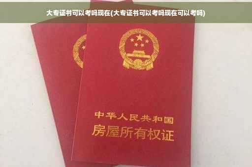 大专证书可以考吗现在(大专证书可以考吗现在可以考吗)