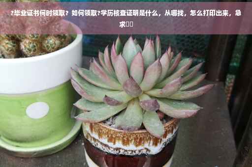 ?毕业证书何时领取？如何领取?学历核查证明是什么，从哪找，怎么打印出来，急求⚡️