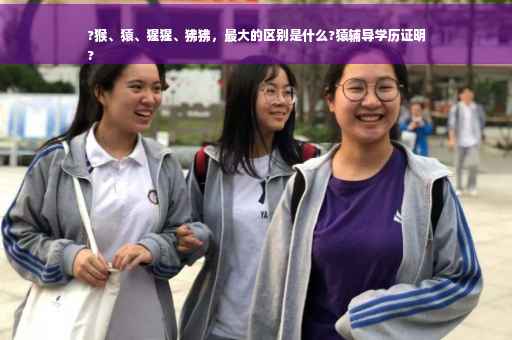 ?猴、猿、猩猩、狒狒，最大的区别是什么?猿辅导学历证明
?
