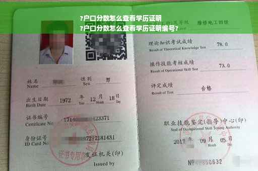 ?户口分数怎么查看学历证明
?户口分数怎么查看学历证明编号?