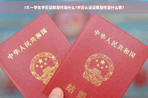 ?大一学生学历证明原件是什么?学历认证证明原件是什么啊?