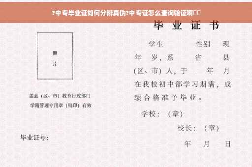 ?中专毕业证如何分辨真伪?中专证怎么查询验证啊⚡️