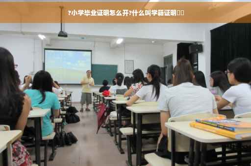 ?小学毕业证明怎么开?什么叫学籍证明⚡️
