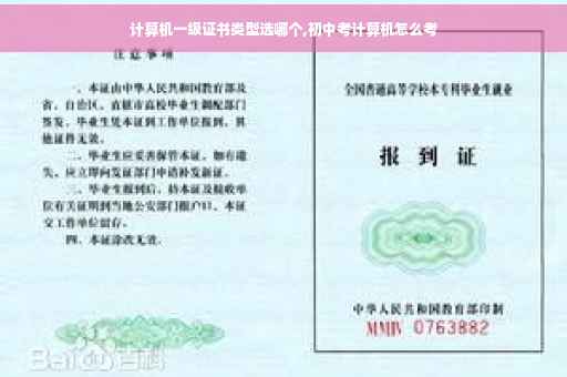 计算机一级证书类型选哪个,初中考计算机怎么考