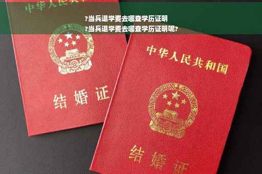 ?当兵退学费去哪查学历证明
?当兵退学费去哪查学历证明呢?