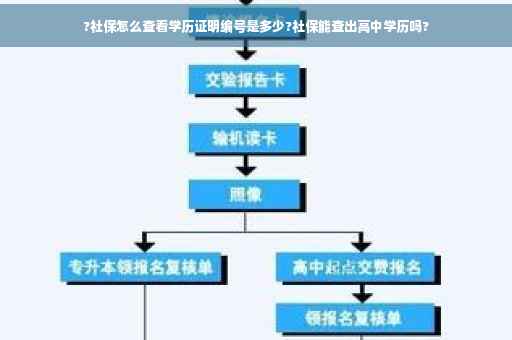 ?社保怎么查看学历证明编号是多少?社保能查出高中学历吗?