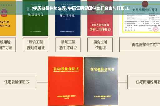 ?学历扫描件怎么弄?学历证明复印件怎样查询与打印⚡️