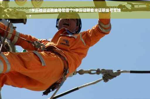 ?学历验证证明编号是哪个?学历证明查询证明编号是啥
?