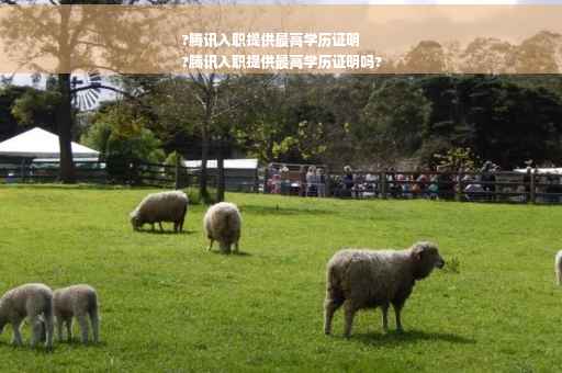 ?腾讯入职提供最高学历证明
?腾讯入职提供最高学历证明吗?