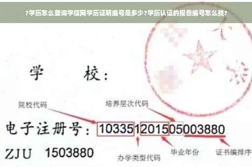?学历怎么查询学信网学历证明编号是多少?学历认证的报告编号怎么找?