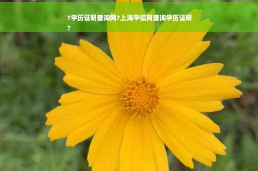 ?学历证明查询网?上海学信网查询学历证明
?