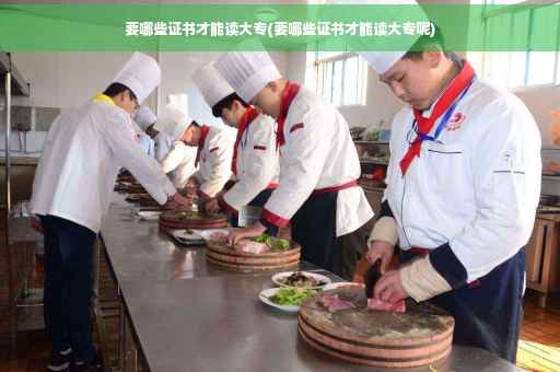 要哪些证书才能读大专(要哪些证书才能读大专呢)