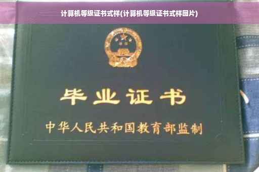 计算机等级证书式样(计算机等级证书式样图片)