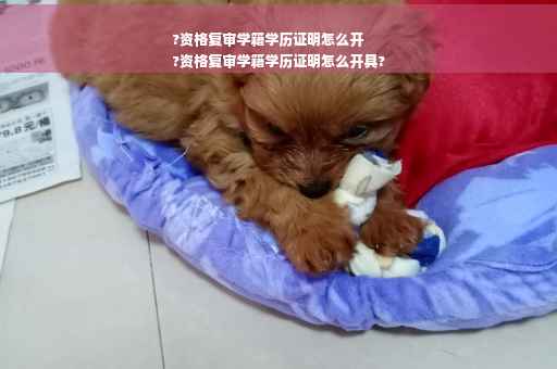 ?资格复审学籍学历证明怎么开
?资格复审学籍学历证明怎么开具?