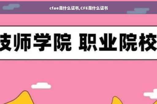 cfae是什么证书,CFE是什么证书
