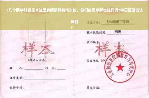 ?几个同学群都是《这里的黎明静悄悄》的，你们的同学群也这样吗?学历证明信认证群
?