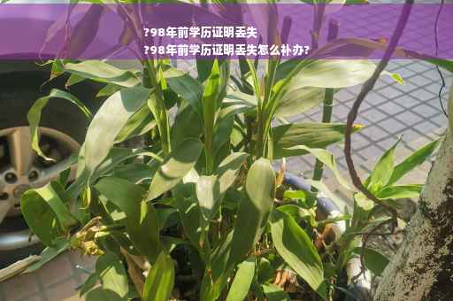 ?98年前学历证明丢失
?98年前学历证明丢失怎么补办?