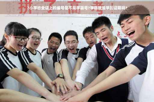 ?小学毕业证上的编号是不是学籍号?学籍就是学历证明吗?