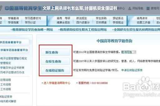 文明上网承诺书怎么写,计算机安全保证书