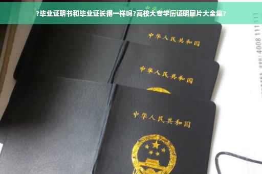 ?毕业证明书和毕业证长得一样吗?高校大专学历证明图片大全集?