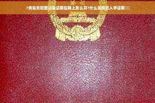 ?青岛无犯罪记录证明在网上怎么开?什么是延迟入学证明⚡️