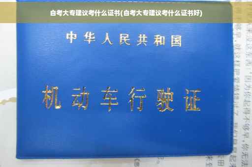 自考大专建议考什么证书(自考大专建议考什么证书好)